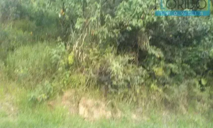 Terreno para Venda em Franco da Rocha, Estância Lago Azul