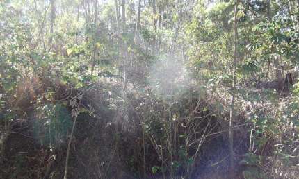Terreno em Condomínio para Venda em Atibaia, Condomínio Bosque dos Eucalíptos