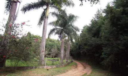 Chácara para Venda em Bom Jesus dos Perdões, Guaxinduva, 7 dormitórios, 1 suíte, 3 banheiros, 10 vagas