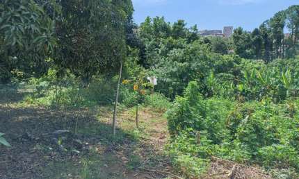 Terreno à venda na Estrada Porto Alegre, Chácaras Brasil, Atibaia