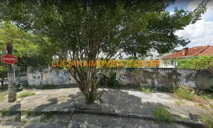Lote/terreno para venda tem 538 metros quadrados em vila ipojuca - são paulo - sp