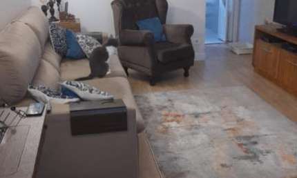 Casa com 5 quartos à venda na Rua Jabaeté, 179, Vila Regente Feijó, São Paulo, 157 m2 por R$ 1.170.000