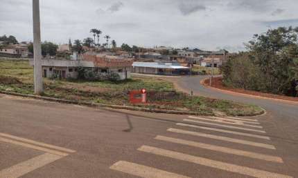 Terreno à venda, 384 m² por R$ 170.000 - Centro - Santo Antônio de Posse/SP