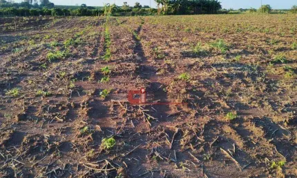Terreno à venda, 5000 m² por R$ 500.000 - São João da Glória - Mogi Mirim/SP