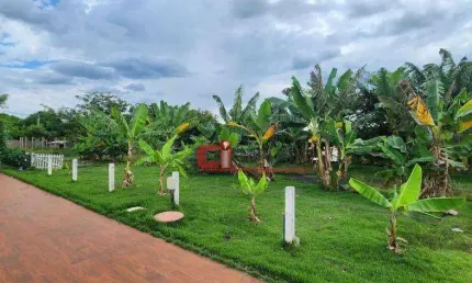 Chácara com 4 dormitórios à venda, 3000 m² por R$ 689.000,00 - Zona Rural - Brodowski/SP