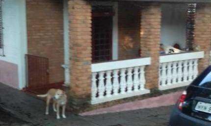 Casa residencial à venda, Chácara Primavera, Jaguariúna.