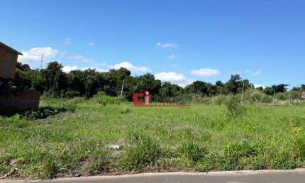 Terreno à venda, 250 m² por R$ 159.000 - Loteamento Residencial Vila Primavera - Jaguariúna/SP