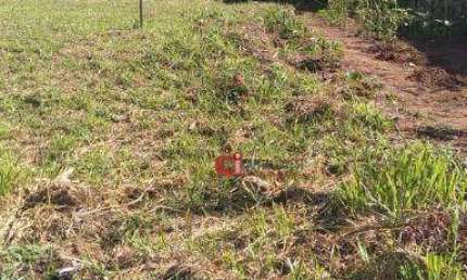Terreno à venda, 439 m² por R$ 250.000,00 - Estância das Flores - Jaguariúna/SP