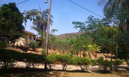Chácara com 3 dormitórios à venda, 24200 m² por R$ 2.000.000,00 - Floresta - Jaguariúna/SP