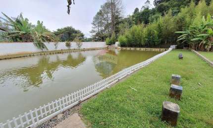 Chácara - área com piscina à venda em Suzano com 4000m²