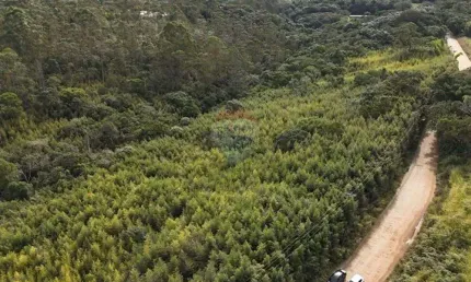 Terreno à venda na Estrada do Oura, 1, Ipelândia, Suzano