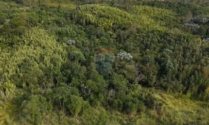 Terreno - área com 63,364m² no bairro Ipelândia em Suzano