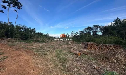 Área de terras rural à venda em Novo Hamburgo - Lomba Grande!