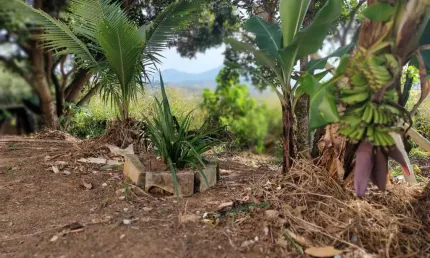 Terreno à venda na Rua; Marques dos Santos, S/n, Marquês de Maricá, Maricá por R$ 155.000