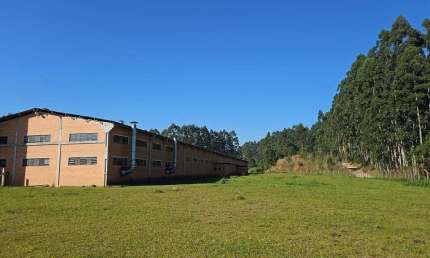 Barracão para Locação em Mandirituba, Abranches, 2 banheiros