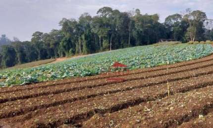 Terreno  Minha Casa, Minha Vida à venda, Jardim São Marcos, Itapevi - TE0006.
