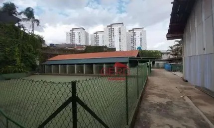 Terreno Plano com Acesso à Castelo Branco – Ideal para Logística ou Investimento