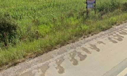 Terreno comercial à venda na Rodovia Ivo Silveira, 29, Lagoa, Gaspar