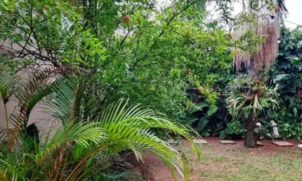 Lote/Casa num terreno de 260m2, no Pestana, do lado da Cidade das Flores - pestana