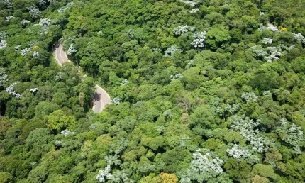 Terreno, lote a venda em Genesis 2.Já dá pra ir imaginando sua nova linda casa, com terreno aclive e em rua silenciosa