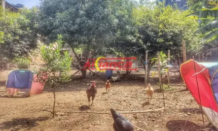 Terreno à venda na Rua Heloísa, 50, Gopoúva, Guarulhos