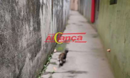 CASA TÉRREA, RESIDENCIAL,02 QUARTOS, 02 VAGAS DE GARAGEM, 150,00 QUADRADOS DE TERRENO.