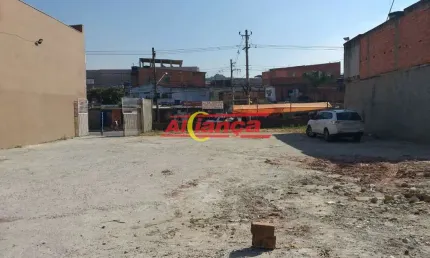 Terreno à venda na Rua Jamil João Zarif, 1276, Jardim Santa Vicência, Guarulhos