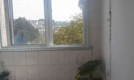 Apartamento com 2 dormitórios à venda, 50m² - jardim maria dirce - guarulhos/sp