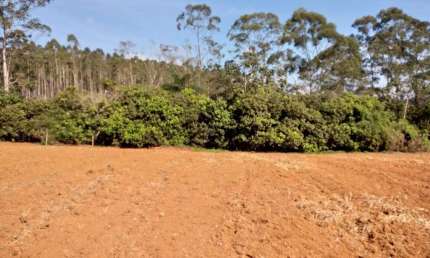 Terreno à venda na Estrada Kem Saito, Cocuera, Mogi das Cruzes