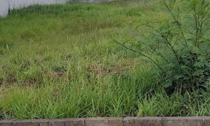 Terreno à venda, 366 m² por R$ 390.000,00 - Spazio Verde Comendador - Bauru/SP