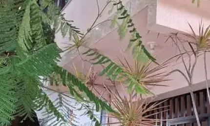 Casa com 3 quartos à venda no Centro, Cabo Frio 