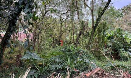 Terreno à venda, 1459 m² por R$ 600.000,00 - Granja Viana - Cotia/SP