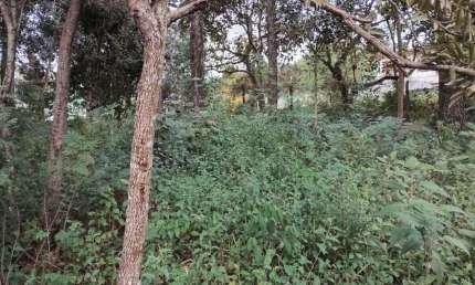 Terreno à venda, 586 m² por R$ 390.000,00 - Gramado - Cotia/SP