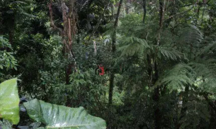 Terreno à venda, 824 m² por R$ 447.000,00 - Granja Viana - Cotia/SP