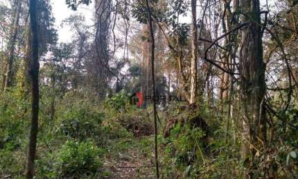 Terreno à venda, 500 m² por R$ 350.000,00 - Granja Viana - Cotia/SP