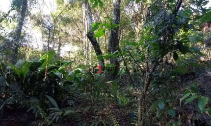 Terreno à venda, 506 m² por r$ 310.000,00 - granja viana - carapicuíba/sp