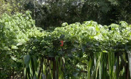 Terreno  residencial à venda, chácara dos junqueiras, carapicuíba.