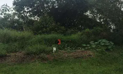 Terreno em condomínio fechado à venda na Estrada Pedreira Eldorado, Centro, Cotia