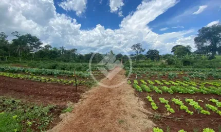 Terreno à venda na Santo Antônio De Goiás, s/n, Zona Rural, Santo Antônio de Goiás