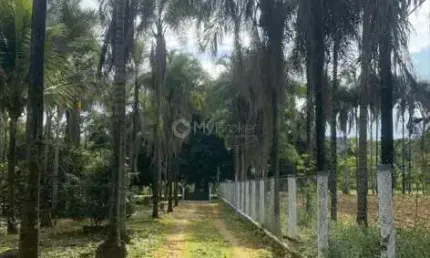 Fazenda à venda na Rua Q 20, 11, Quinta dos Sonhos, Abadia de Goiás