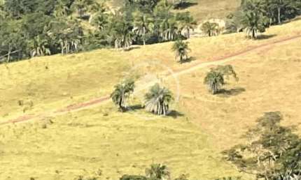 Bairro: Zona Rural Valor: R$ 4.000.000,00 codigo: 46024