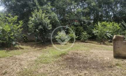 Bairro: Setor dos Estados Valor: R$ 250.000,00 codigo: 42051