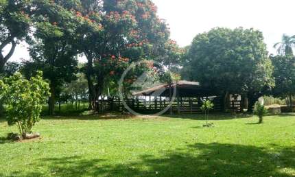 FAZENDA - 7,8 ALQUEIRES  A 300 METROS DA BR 153 codigo: 88147