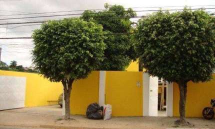 Barracão / Galpão / Depósito à venda na Estrada dos Morros, Jardim da Mamãe, Guarulhos