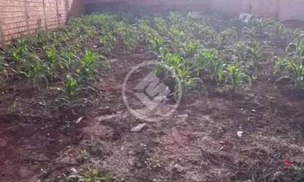 TERRENO RESIDENCIAL SOLAR DAS PALMEIRAS codigo: 74522