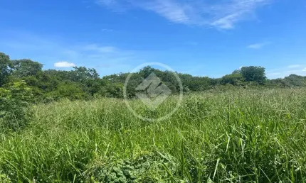 Fazenda Rompe Gibão - Próximo a Jaiba MG codigo: 89579