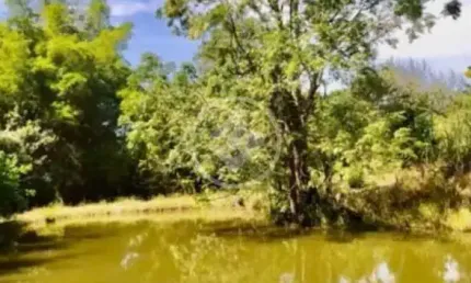 FAZENDA de 36.1 ALQUEIRES  MUNICÍPIO DE SÃO MIGUEL DE PASSA QUATRO codigo: 94549