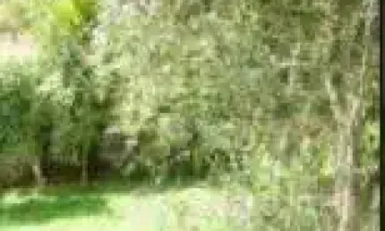 Terreno à venda, 1000 m² por R$ 399.000,00 - Jardim Sol Nascente (Ouro Fino Paulista) - Ribeirão Pires/SP