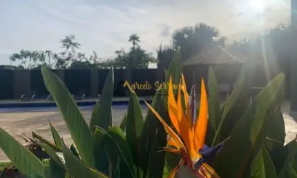 Casa em condomínio fechado com 5 quartos à venda no Loteamento Terras de Canaã, Cambé 
