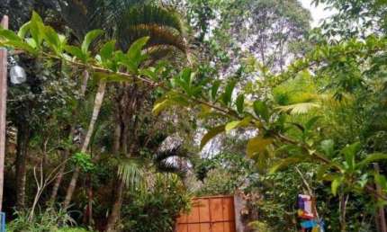 Chácara com 1 dormitório à venda, 4862 m² por R$ 375.000,00 - Reprêsa - Juiz de Fora/MG